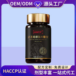 定制葛根灵芝片压片糖果 熬夜加班伤肝喝酒应酬OEM肝片代加工厂