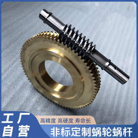 工厂加工蜗轮蜗杆直流减速电机配件大传动比斜齿黄铜涡轮配套蜗杆
