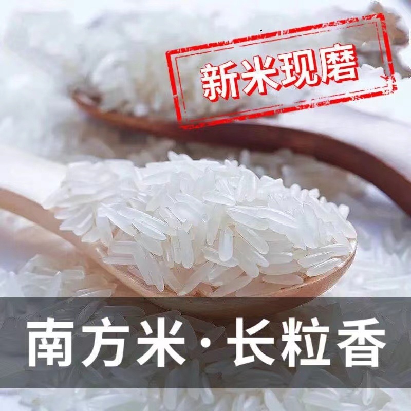 Rice wholesale 50kg long grain new rice brown rice 25KG night special wholesale