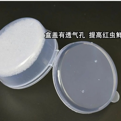Red worm box live bait box transparent red worm box plastic portable bait box with sponge sand worm box transparent round small box