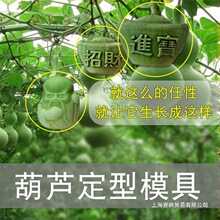 ���J���L���ͷ���ˇ�g���Jģ���������큆�����Jģ����ģģ��ģ��