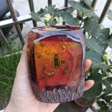 ���l��֬�x��ϐ�����x�˱��[����ˇƷ���x��Ѫ��ϐ���b[�O