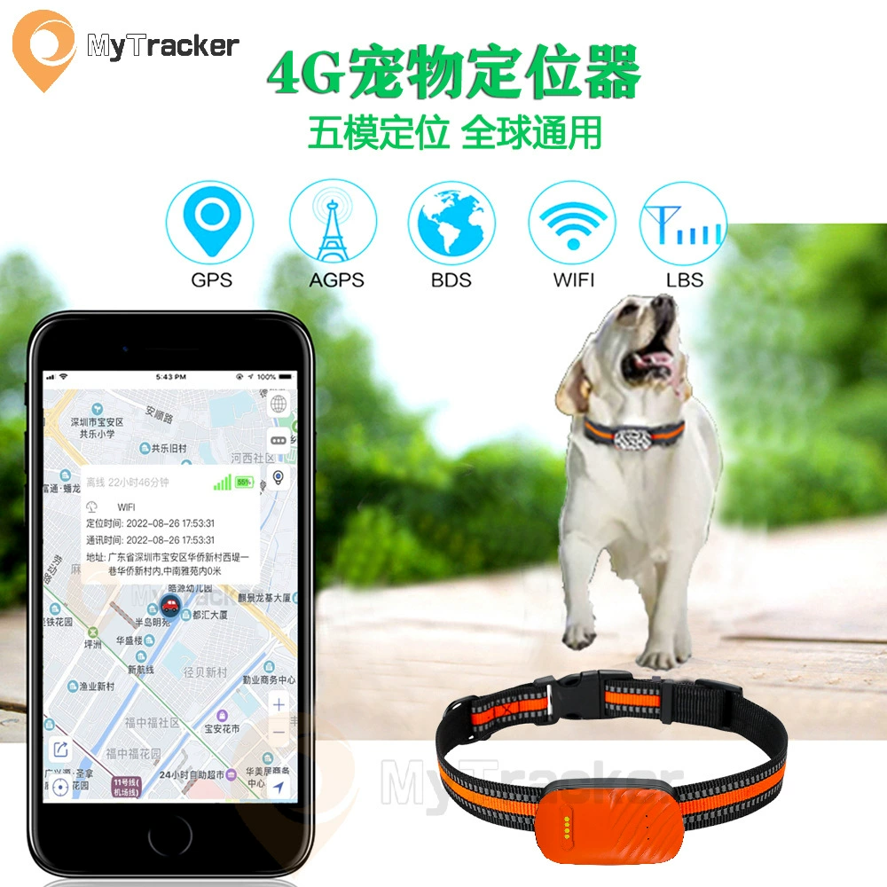 GPS-трекер для животных, антипотеряшка, умный ошейник, глобальная версия, американская версия