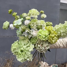 ���ƘO���׾Gɫ���滨ţ�͹��Gɫ���ı��ɾG�nʽɭϵ��Y�bٻ�