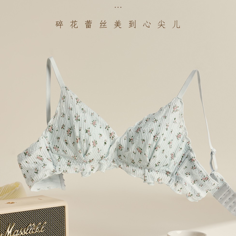 Venta directa de fábrica comercio electrónico transfronterizo Sudeste de Asia Vietnam Tailandia damas sin costuras sujetador de recogida lateral cómodo