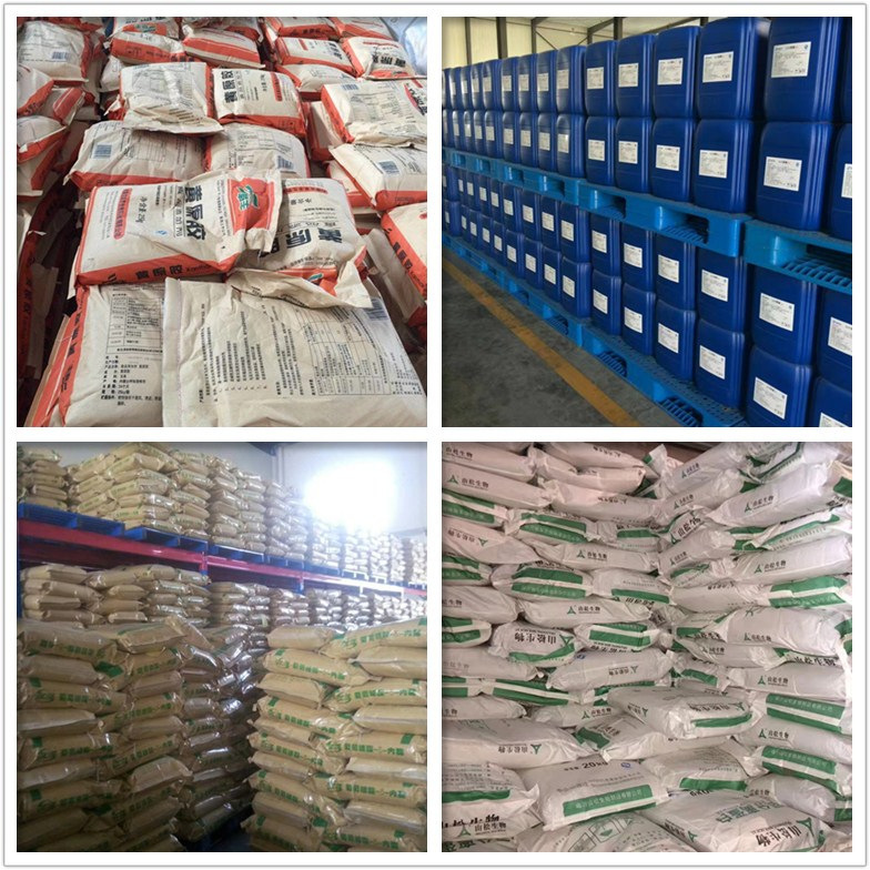 9518405265_1731311182