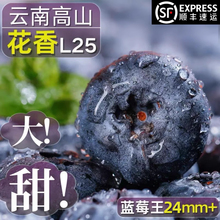 ������r�{ݮ�Fժ�F�l�����r��ˮ���r���{ݮ�ЋDˮ�����@��ժ