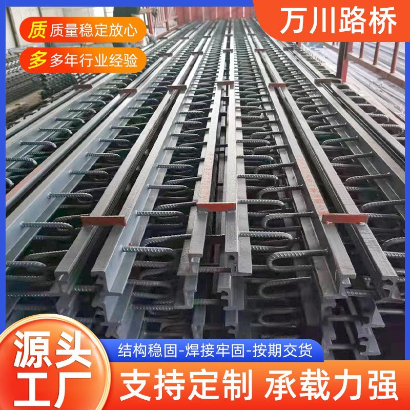 多规格桥梁伸缩缝工厂大跨径桥梁伸缩缝 人行道公路建筑伸缩缝