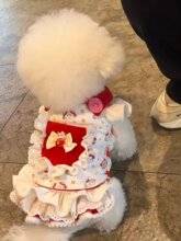 С��Ȯ�����·�����؈��ɐ۴���Сȹ�ӱ��ܲ����»�̩�Ϲ���ȹ��