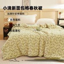 现货代发小清新印花学生宿舍被可机洗针织棉春秋被加厚子被芯批发