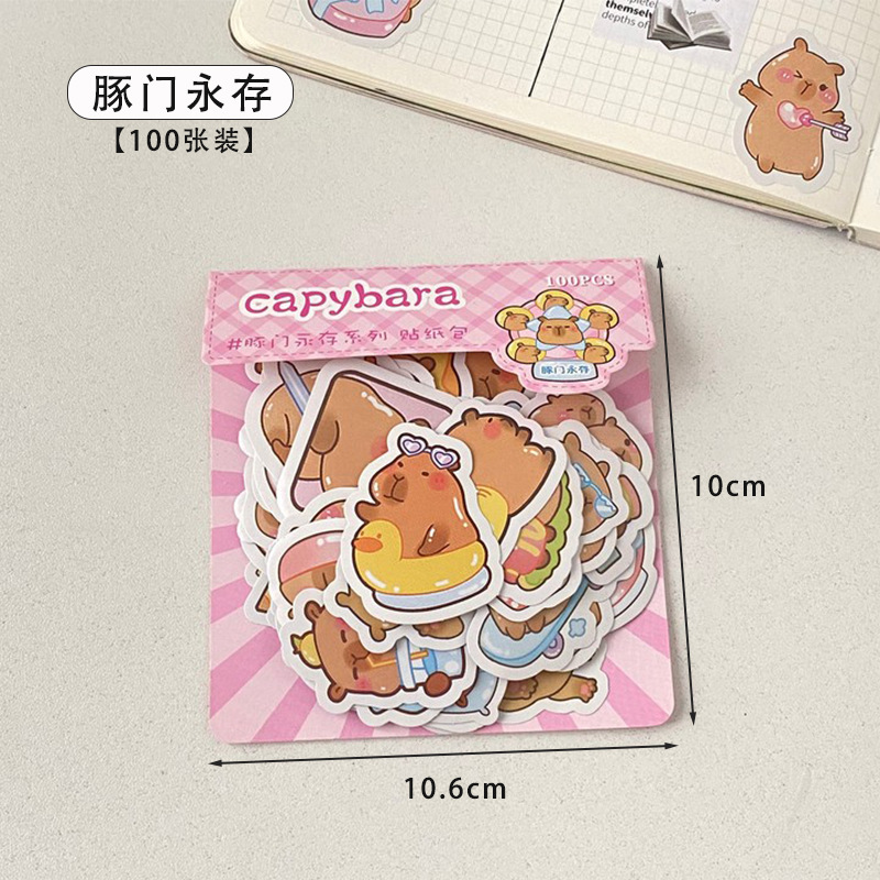 Dolphin Door Forever