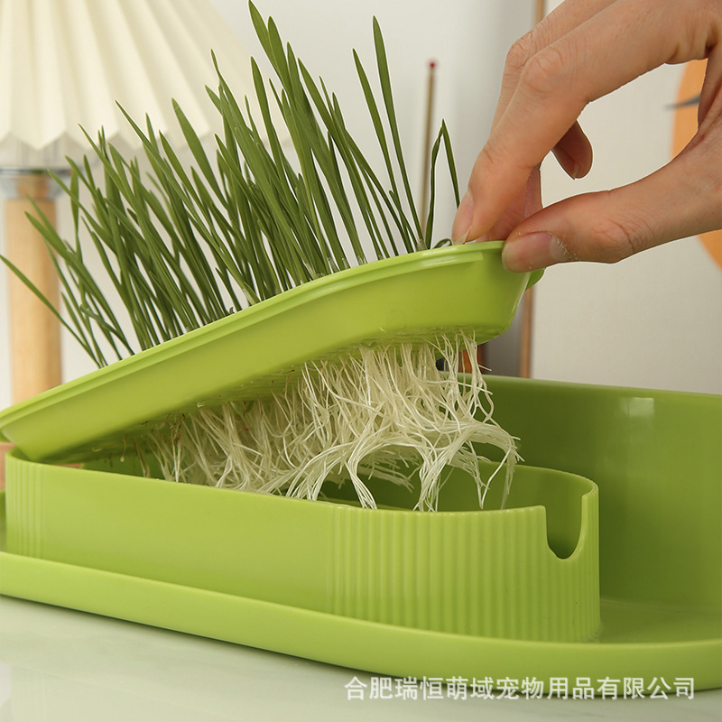 Nuevo estilo transfronterizo caja de hierba para gatos hidropónica, bocadillos para gatos, menta para gatos, plantación hidropónica sin suelo, juego de maceta de hierba para gatos, caja de hierba para gatos