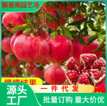 ؑcʯ l ޽Ӄ|ܛʯr񃞻ݹSֱN