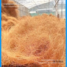 Ҭ�ؽzҬ�z���Ҭ���z300�˻����w�����������b�ʯ����