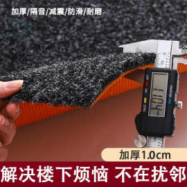 定制批发天鹅绒地毯 家用商用进门脚垫加厚全铺满铺隔音防滑地垫