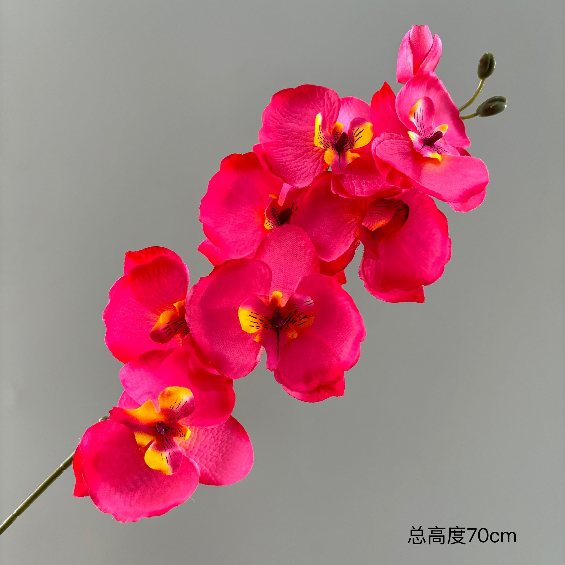 부직포 호접란 8개