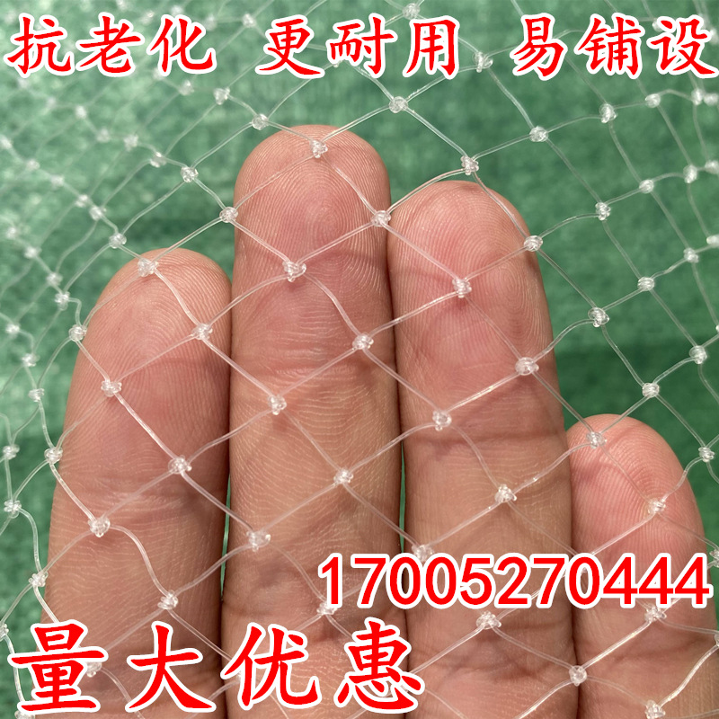j8枸杞泥鳅天网果园养殖网透明葡萄防鸟樱桃鱼塘尼龙防鸟网用网g3