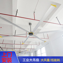 ���I���Ŵ���ȏS��܇�g�S���w�����}������ͨ�L���ع��I���L��