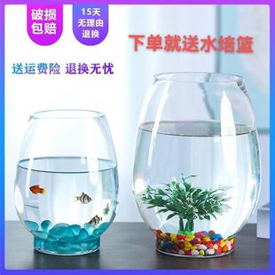 ˮ��ֲ�ﻨƿ����ƿ�G�}�����k���҄���ˮ�B�~�����������Ͷ�ֲ��