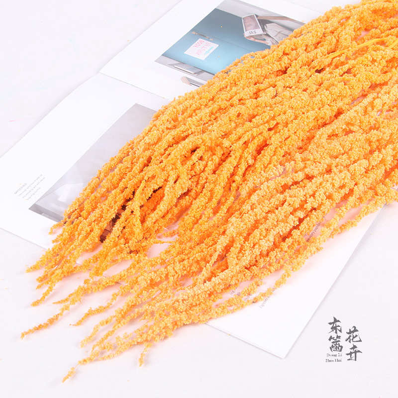 Arroz colgante de vida eterna, flores colgantes de Roulisi, flores reales, flores perpetuas, arreglos florales de boda, decoración de paredes, flores secas tridimensionales al por mayor