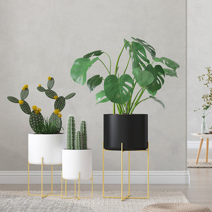 ���_�܏S��ֱ�N���W�L���Fˇ���܄����҃Ƚ��ٿ͏d����ܻ���[��