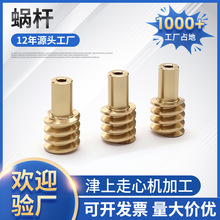 小模数蜗轮蜗杆加工 高精度铜蜗轮蜗杆 非标涡轮生产