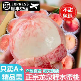 顺丰空运正宗四川龙泉驿水蜜桃新鲜水果当季整箱礼盒装白凤桃子