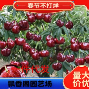 ܇���Ӽ޽ә��Ҙ�������ͥԺ���Ա����Ϸ��Nֲ���Ҙ䮔��Y����