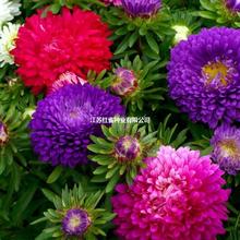 ɫʺǹջܷNСrմ͟׷N̨ͥԺֲN