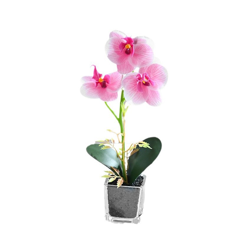 Simulación de flores pequeñas cuatro flores orquídeas mariposa fábrica de bonsai directamente para flores artificiales adornos de decoración interior flores de seda imitación en maceta image 6