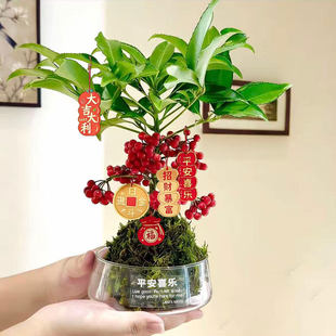 ���F�������S���f��ֲ����t���͏d��ؔ�҃Ⱥ��B�Gֲ����������