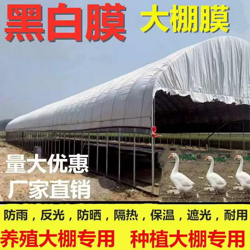 农用黑白膜防渗加厚隔热膜反光防晒保温菌菇种植养殖遮光PE黑白膜