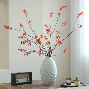 ����С���~ ����ʽ��֦�����~�L֦��֦�ٸ�֦�Ҿ����P�b[��Ʒ