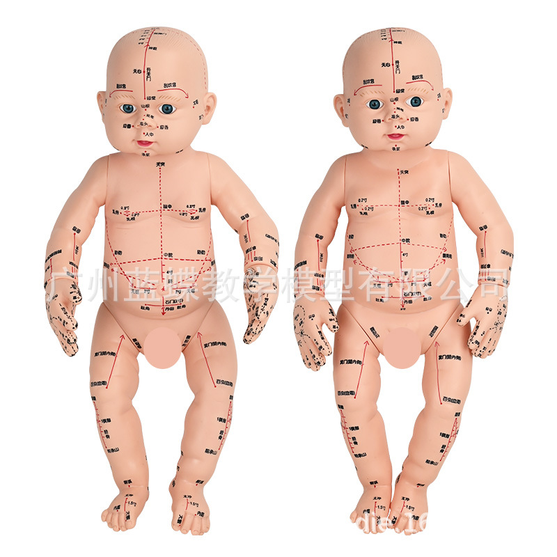 ȫ��Ѩλ���޾���ͼ��Ħ����ҽС�����ý�ѧ������ɩ��ѵ����ģ��