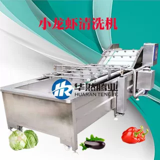 多元性大姜加工生产线 蔬菜清洗机 香椿芽气泡清洗机 厂家供应