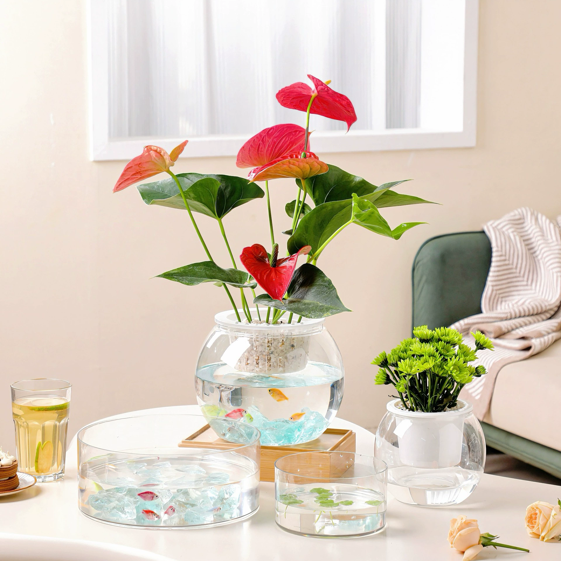 Transparent Square Hydroponic Vase, Desktop Shatterproof Planter, Multiple Sizes (8–30 cm)