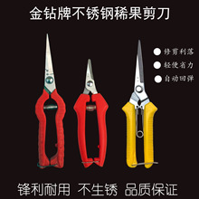 ����Ʋ��P�ϡ������ ���P���֦��ժ�����߹������Ѽ�@�ֹ���