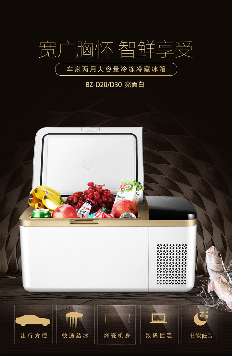 Car Refrigerator, Outdoor Small Refrigerator, Cooler Box, Commercial Ice Box, Portable, Special for Stalls, Car, Truck