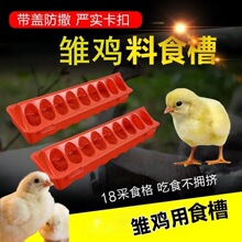 芦丁鸡喂食食槽鹌鹑饮水器小鸡雏鸡槽子料器饲料鸽子自动