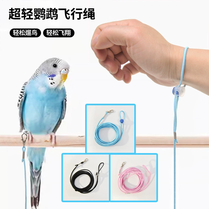 Попугай выпустил летную веревку, не повредив ноги. Сверхлегкая тренировочная веревка. Тигровая шкура.