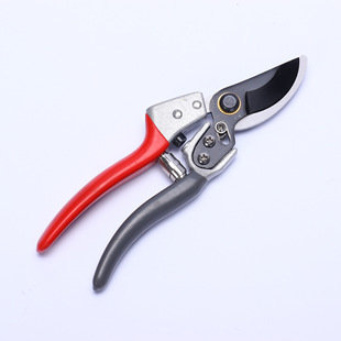 Factory direct supply gardening scissors flower scissors fruit picking garden tools pruning shears fruit shears garden wholesale