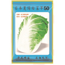 �T�����S��ֱ�����������ش����ļ��Nֲ   �Չ���ꖰײ���50