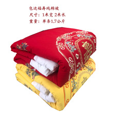 �S�Қ�����Ʒ���l䁽��w�y�w�t���ˉ�������w�ΠC���۱����챻��