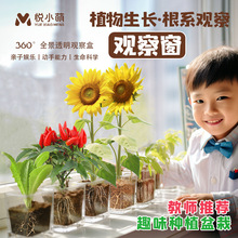 ͯNֲС׃@տݮNSϷNֲL^