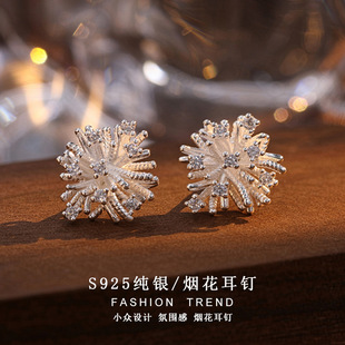 ���R�dϣ��Temu�������Q�Ʒs925�y���ŮС���OӋins�L�������