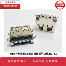 USBAĸ�B�������������1.9�NƬ���_��ƽ�ں��z���zL11.0USBĸ��