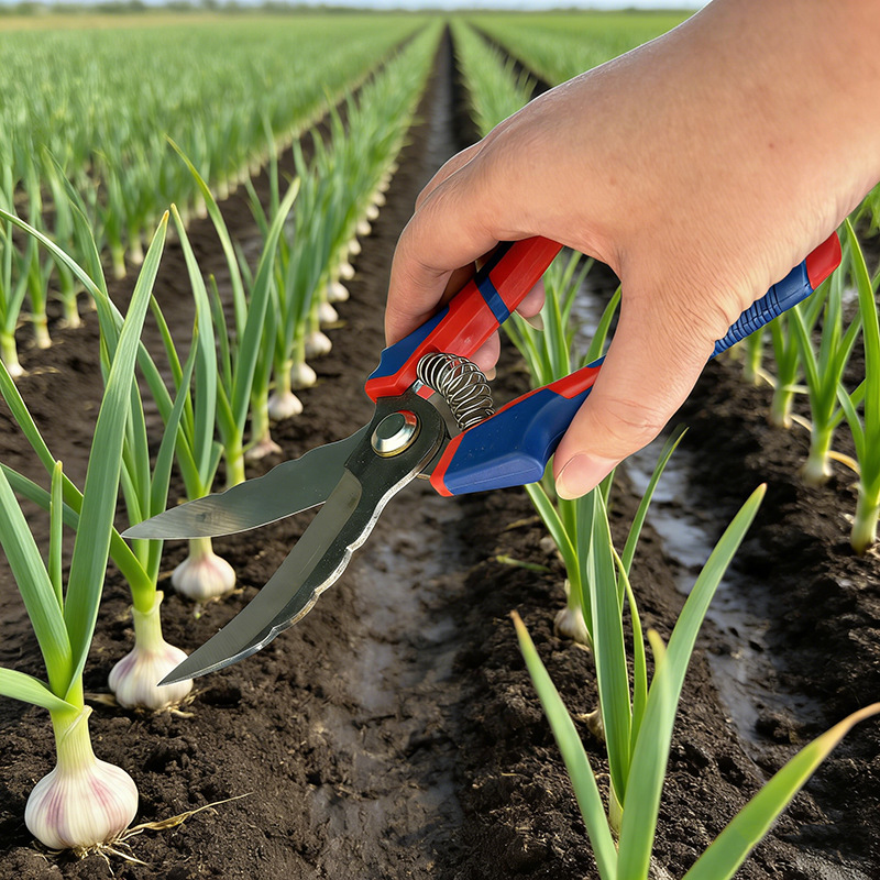 图片背景添加 (9).png