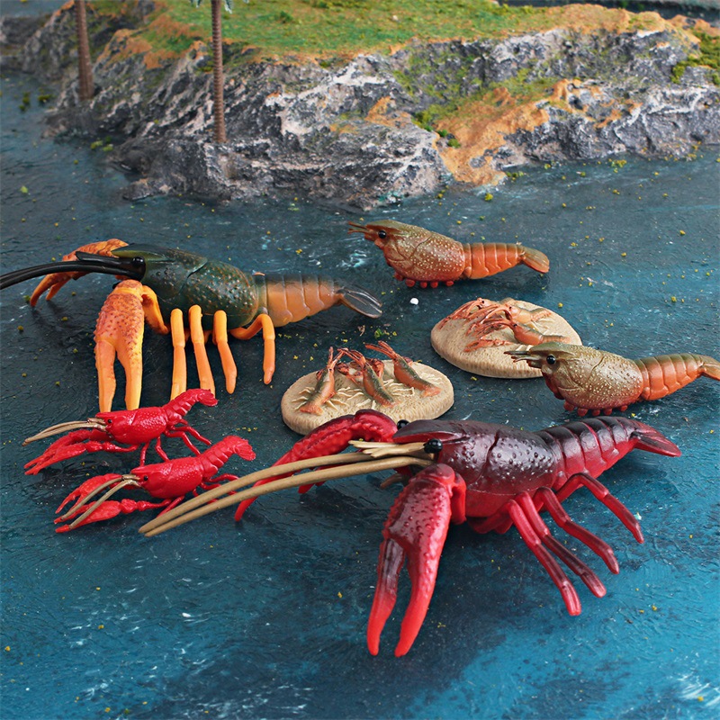 Simulación de exportación transfronteriza animal marino modelo de ciclo de crecimiento de langosta proceso de crecimiento de cangrejos de Río decoración estática juguete