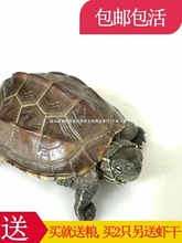 �������w ���A������������С�^�p��ˮ�������������������S��