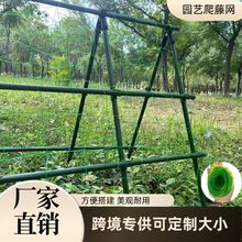 �@ˇ���پWͥԺ����ֲ�����W�S�ϾW�z�ϾW���ǾW��������֧�ܴ�W